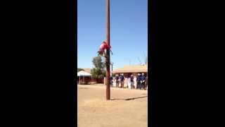 Linemans rodeo speed climb [upl. by Lieno]