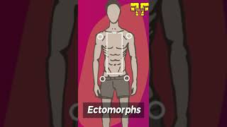 Which Body Type Are You ectomorph mesomorph or endomorph bodytypes fitnesstips [upl. by Leirbma]