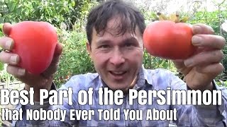 Best Part of the Persimmon Fruit that Nobody Ever Told You About [upl. by Annaes565]