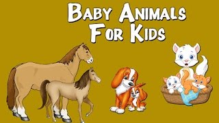 Baby Animals For Kids  Animals And Their Young Ones  Preschool Learning Videos For Kids [upl. by Andert753]