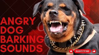 Epic Dog Barking Compilation See How Your Dogs REACTS and Cant Resist [upl. by Oznole]