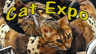 Cat Expo 2023 [upl. by Bloch]