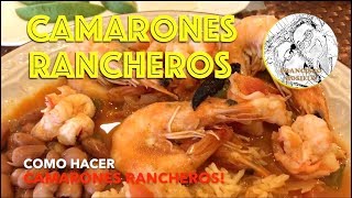 Camarones Rancheros  Ranchero Shrimps [upl. by Reece]