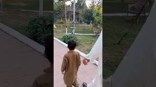 We Went To The Gujranwala Zoo In Cantt  Travel With Wh [upl. by Blanchard]