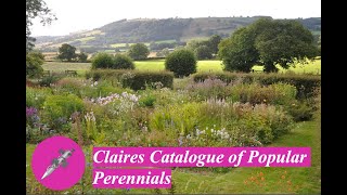 Claires Catalogue of Popular Perennials [upl. by Carnahan]