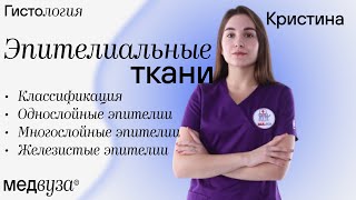 Эпителиальные ткани  Общая гистология  Медвуза [upl. by Mile]