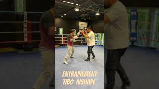 tibo inshape boxe [upl. by Yarled954]