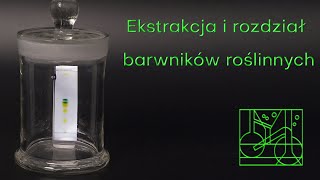 Ekstrakcja i rozdział barwników roślinnych [upl. by Wilbert]