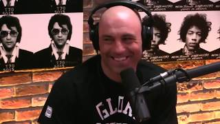 Joe Rogan Get Called out By Dan Pena  Joe responds brilliantly [upl. by Unhsiv]