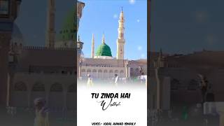 Tu Zinda Hai Wallah Naat shorts naat whatsappstatus [upl. by Nilkcaj]