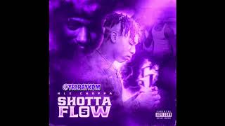 NLE Choppa  Shotta Flow 5 FAST SPEED UP [upl. by Neelyt156]