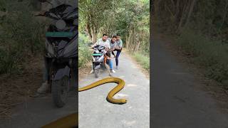 Naagin ka badla 😱🐍 shorts ytshorts viralvideos snake [upl. by Cj]