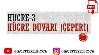 21 HÜCRE3 HÜCRE DUVARIÇEPERİ  TYT  9Sınıf  hacettepelihoca [upl. by Akselaw]