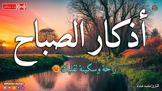 اذكار الصباح بصوت جميل هادئ مريح للقلب 💚 إذا قلته كفاك الله ورزقك من حيث لا تحتسب  محمد هشام [upl. by Aguie388]