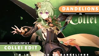 🌿 4k Collei Edit 🍃  Dandelions  Genshin Impact [upl. by Angrist]