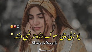 Yaw Zale Che Sok Zrah Ta She Danana 🥰  Slowed And Reverb  Pashto New Song  Deedanoona [upl. by Ruford985]