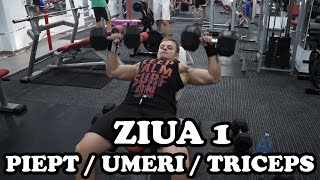 Piept  Umeri  Triceps  Ziua 1  Program incepatori [upl. by Aydan]