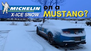 Best Winter tires for a Mustang Michelin XIce Winter Tires Review [upl. by Gonick847]