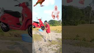 Flying crying babies mango forg scooter amp parrot catching vs lizard 😂 viralvideo shorts [upl. by Quackenbush]