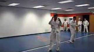 Hapkido Belt Test White to YellowJohn and Drew [upl. by Nerhtak]