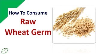 How To Consume Raw Wheat GermExplained Step By Step [upl. by Ateval452]