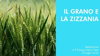 Il grano e la zizzania  P Giorgio Maria Faré [upl. by Teevens415]