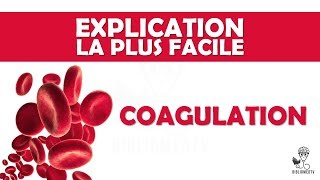 lexplication la plus facile  la Coagulation [upl. by Rimhsak]