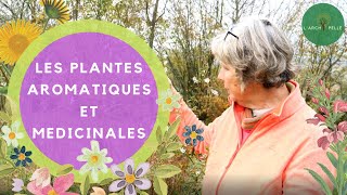 Les PLANTES AROMATIQUES et MEDICINALES pour votre jardin [upl. by Alastair]