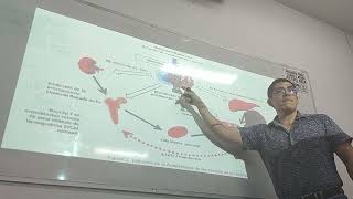 CLASE  5  ANEMIAS NORMOCÍTICAS NORMOCROMICAS [upl. by Atikahs247]