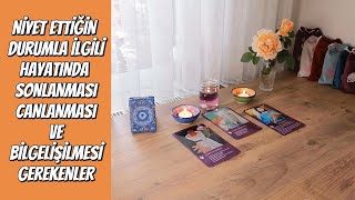 HAYATINDA SONLANMASI CANLANMASI VE BİLGELİŞİLMESİ GEREKEN ALAN ENERJİSİ NEDİR [upl. by Robbie465]