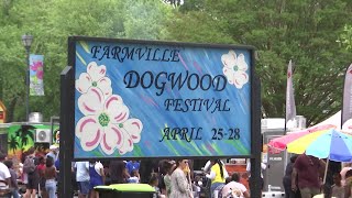 35th annual Farmville Dogwood Festival enjoys another successful year [upl. by Lrem]