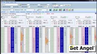 Trading on Betfair  Bet Angel Automation  Getting started [upl. by Artemus]