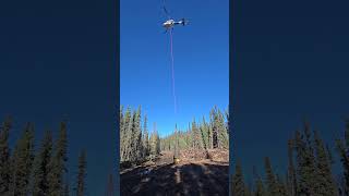 Heavy Lift for Helicopter Great pilot forestry alberta forestfire naturaldisaster wildfire [upl. by Maure]