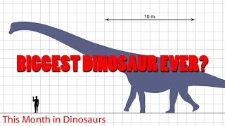 Is This the Biggest Dinosaur Ever  This Month in Dinosaurs [upl. by Trev553]