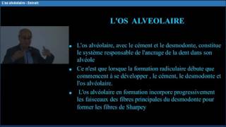 Los alvéolaire  Dr Paul Mattout [upl. by Cal]