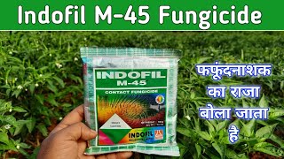 Indofil M45 fungicide use in hindi details information [upl. by Aline]