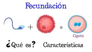 💥 ¿Qué es la Fecundación 💥 Fácil y Rápido  BIOLOGÍA [upl. by Ainav]