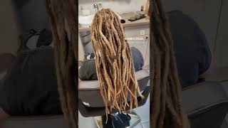 dreadlock dreadlocks dreads [upl. by Ailimaj]