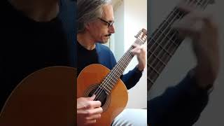 Nives fingerpicking classicalguitar acoustic [upl. by Caundra]