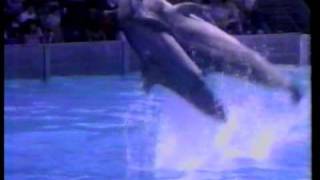 Marineland Commercial [upl. by Crenshaw]