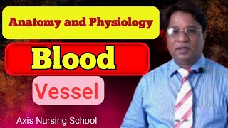 রক্তনালী Blood Vessel anatomy physiology [upl. by Adnalro]