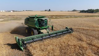 Wheat Harvest in Saskatchewan with John Deere 9770 STS 4K [upl. by Grail501]