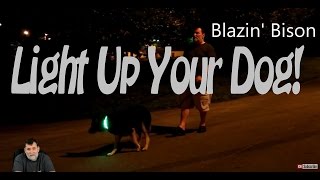 Blazin Bison LED Dog Collar [upl. by Odnomyar]