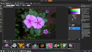 Saturation Adjustment in PaintShop Pro X4 [upl. by Hameean]