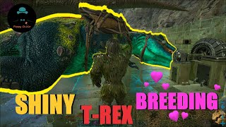 Aggressive And Breedable 😡🥰🔴LIVE🔴  ARK SURVIVAL EVOLVED poppychulo poppyseeds roadto250subs [upl. by Ettennil]