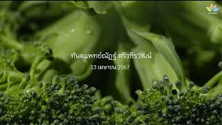 จิตเผลอกับจิตเพ่งมีค่าเท่ากัน  ทันตแพทย์ณัฏฐ์ ศรีวชิรวัฒน์ 13 เมษายน 2567 B [upl. by Anaili]