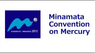 Anita Tibau IAOMT speech to the Minamata Convention on Mercury [upl. by Annotahs55]