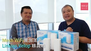 Mesh WiFi 實測王者 Linksys Velop 睇真啲 [upl. by Oiliruam]