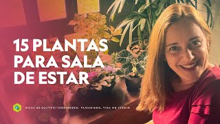 15 PLANTAS para SALA DE ESTAR [upl. by Phi]