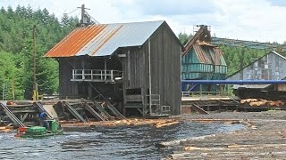 HullOakes Lumber 4 of 10  the debarking shed [upl. by Anide]